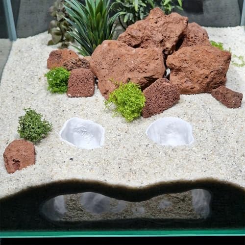 LIYAOLI Aquarium Ornaments Cave Tunnel with Viewing Ports | Fish Tank Decoration Hideout for Pleco, Shrimp & Corydoras | Substrate-Friendly Design & Sinking Base - color: White - 02