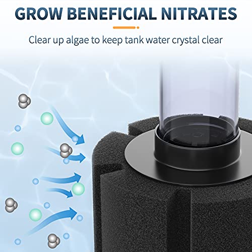 Pawfly Aquarium Nano Bio Sponge Filter Quiet Betta Fry Shrimp and Small Fish Foam Filter for Tiny Fish Tank up to 10 Gallon