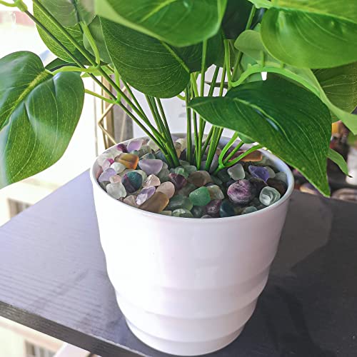 Keedolla 0.93 LB Fluorite Tumbled Chips Aquarium Fish Tank Gravel, Natural Crystal Quartz Stones Rocks Pebbles for Vase Fillers, Garden, Succulent Plants Decor - color: Mutilcolor Fluorite, size: 0.93 Pound