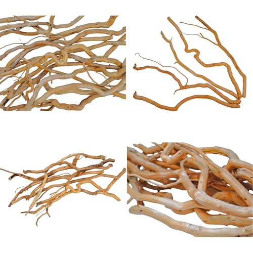 Azil Natural Aquarium Driftwood Root – Driftwood for Aquarium Decor, 250g ≈ 0.551 lb (10″–15''), Fish Tanks, Terrariums, Aquascaping & Planted Tanks - size: root mix 10 - 15 inch