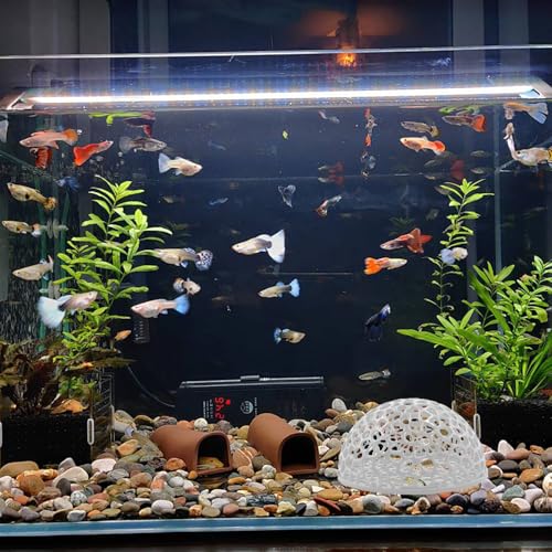 2 PCS Shrimp Dome Hide, Aquarium Shrimp Cave Hideout, Shrimps Hides, Tunnel Cave for Aquarium Small Fish Habitat Rest