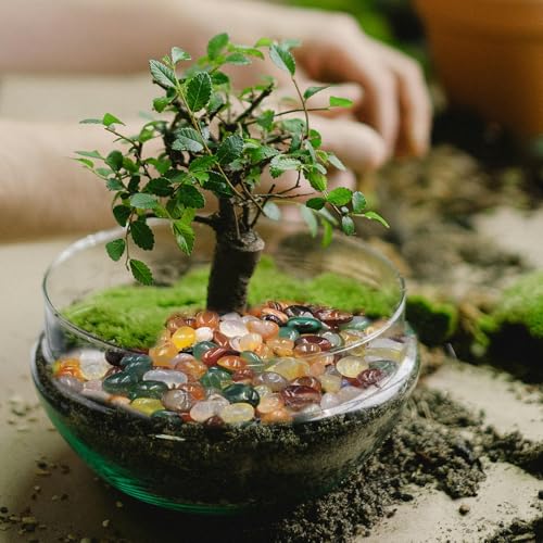 0.45 LB Polished Agate Stones Natural Decorative Rocks for Outdoor Decoration Home Decoration Fish Tank Vase Filler DIY Handmade Bamboo Succulents Cactus (Color Agate) - color: Color Agate