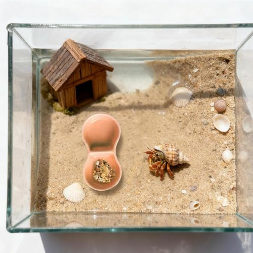 2 PCS Ceramic Hermit Crab Food Dish Reptile Water Dish Hermit Crab Water Bowl Aquarium Accessories for Bearded Dragon Gecko Lizard Snail Frog Turtle Tortoise