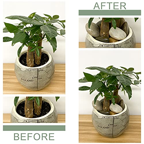 FANTIAN Pebbles for Indoor Plants, Mixed Color Polished River Rocks Decorative Stones for Garden, Aquarium, Vase Fillers, Outdoor Landscaping and Backyard(1-2 inch,40 Pounds) - size: 1-2 Inch, style: 40 Pounds