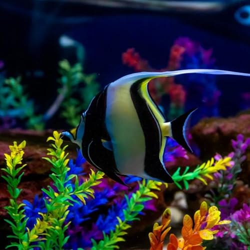 Fish Tank Decorations Artificial Plastic Plants Aquarium Decor Fish Tank Accessories Multi-Colored - color: Colorful