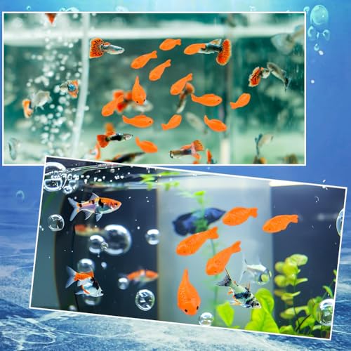CREATCABIN 36Pcs 3 Styles Miniature Resin Fish Small Fish Figurines Dark Orange Mini Sea Ocean Marine Animal Tank Decorative Figure Statues Ornaments for Home Office Desktop Tank Aquarium DIY Decor