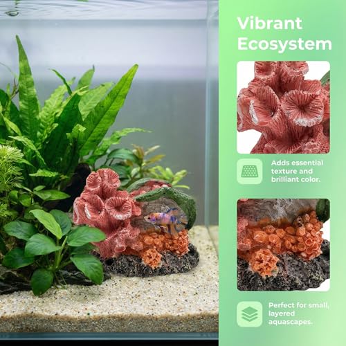 Aquarium Decor Resin Coral Fish Tank Decorations, Small Aquarium Hideout Ornament for Betta Shrimp Goldfish, Fish Tank Accessories Decorations Artificial Reef - color: Coralshell