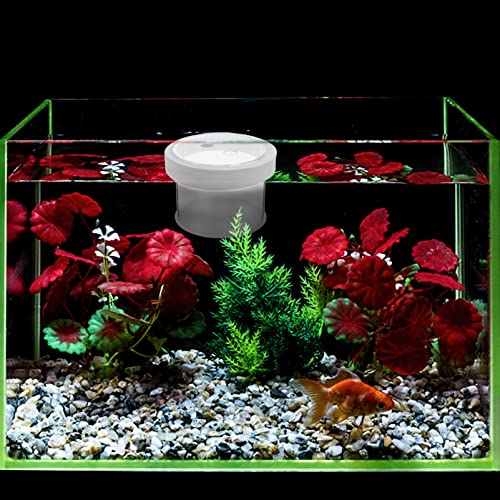 Mipcase Floating Aquarium Breeding Box Fish Tank Hatchery Openable Cover Easy Removal and Floating Design for Isolating Small Fish and Eggs - color: White