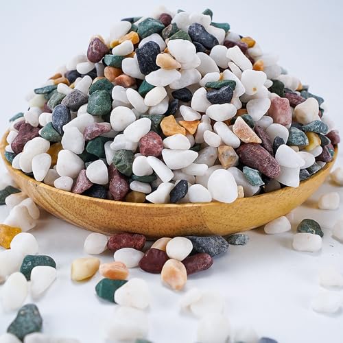 TOYPOPOR 6LB Succulent and Cactus Gravel Pebbles, 1/5 Inch Natural Decorative Polished Stones, River Rocks for Plants, Vases, Aquariums, Terrarium and Outdoor Gardening, Mixed Color - color: Five Colors Mixed, size: 6 lb