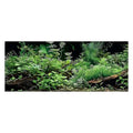 Aquatic Plant Aquarium Background, River Bed & Lake Tropical Undersea Tree BranchFish Tank Background, 6 EVA Double-Sided Tapes 48x24 inches/120x60 - color: Green, size: 48"L x 24"W