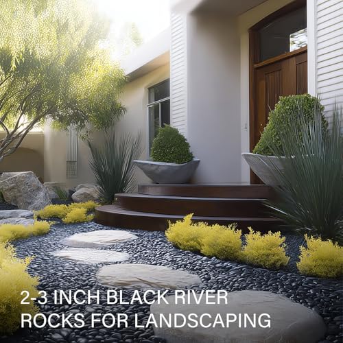 16lb Black River Rocks, 2-3 Inch Pebbles for Indoor Plants, Natural Polished Aquarium Gravel, Decorative Rocks for Outdoor Landscaping, Succulent, Garden, Vases Fillers, Bird Baths - color: Black, size: 2-3"-16lb