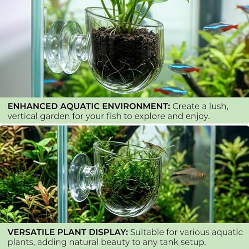 6PCS Shower Plant Holder, Stable Suction Cup Planters for Shower Wall, Aquarium Plant Cups, Multipurpose Water-Resistant Plant Holders for Bathroom and Kitchen Organization