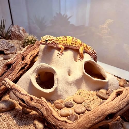 Aquarium & Terrarium Corner Cave Faux Mangrove Root Hideout for Fish, Shrimp, Geckos, Snakes, Natural-Look Reptile Tank Decor in Textured Root Style, Desert Tan, PLA Material, 7.5''x7.5''x4''