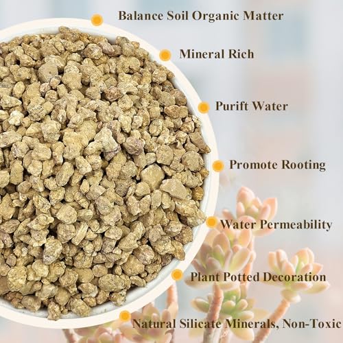 2 lbs Maifanitum Stones for Succulent,1/4 Inch Decorative Rocks for Indoor Plants, Bonsai, Soil Cover. Small Stone of Lightweight for Promote Soil Root Growth, Water Drainage and Plant Growth - color: Maifanitum