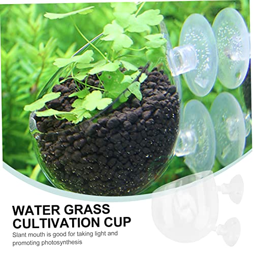 BESPORTBLE Glass Aquatic Plant Cup Pot Cups for Fish Tank Water Plant Holder Permeable Base for Shrimp and Planted Tanks Aquarium Decoration