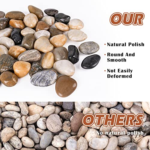 River Rocks for Plants 5.5 LB Small Decorative Pebbles 1"-1.5" Polished Stones Smooth Aquarium Gravel for Fish Tank Vases Indoor Planters Outdoor Landscaping Garden (88oz) - size: 5.5 LB (88oz), style: Natural