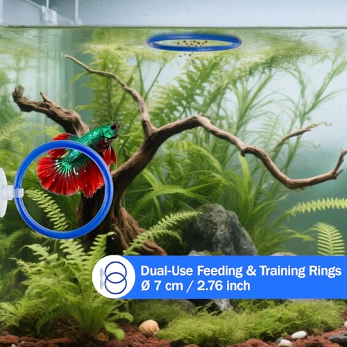 Betta Fish Toy Set,Betta Training Floating Mirror, Training/Feeding Ring, Spoon, and Resting Leaf. Promotes Exercise. Betta Toys, Resting & Feeding Kit