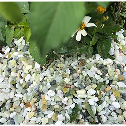 18lb Jade Bean Pebbles,1/4 Inch Cactus Bonsai DIY Rocks, Natural Succulent Rock and River Rocks Decorative for Aquariums, Vases, Terrarium, Outdoor Gardening, Top Dressing for Potted Plants - color: Light Green, size: 18LB