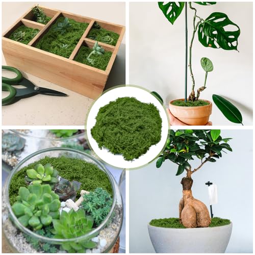 Fake Green Moss 7 oz Decorative Artificial Moss for Crafts Artificial Dark Faux Moss for DIY Table Centerpieces Wedding Party Decor Fairy Garden Floral