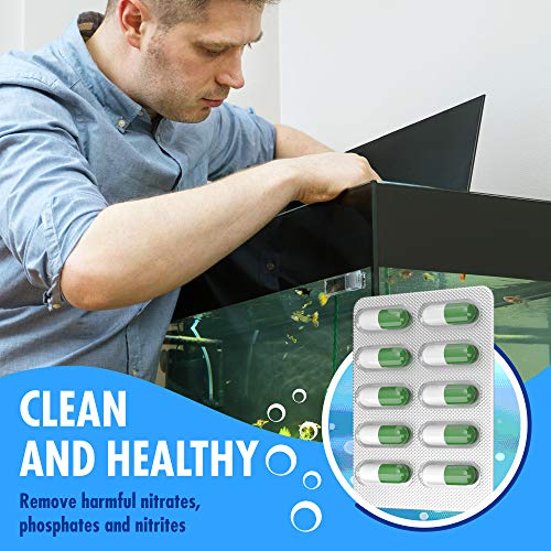 Bio Capsules Fish Tank Water Cleaner - size: FTWC