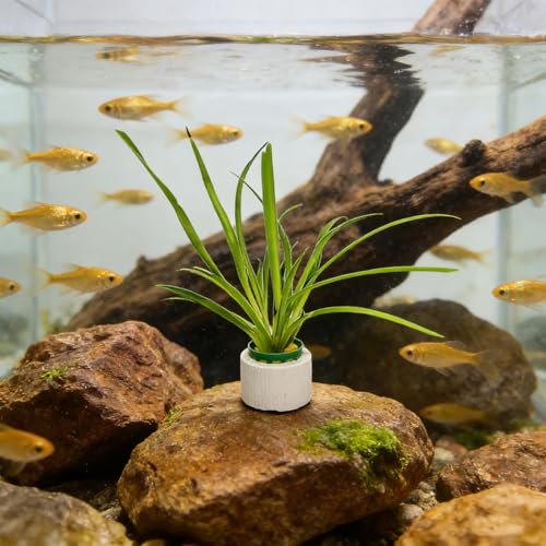 12 Set New Upgrade Aquarium Plant Weights, Anti-Floating Ceramic Water Grass Planting 3-Piece Set, Aquarium Landscape Decor for Fish Tank/Aquarium Accessories