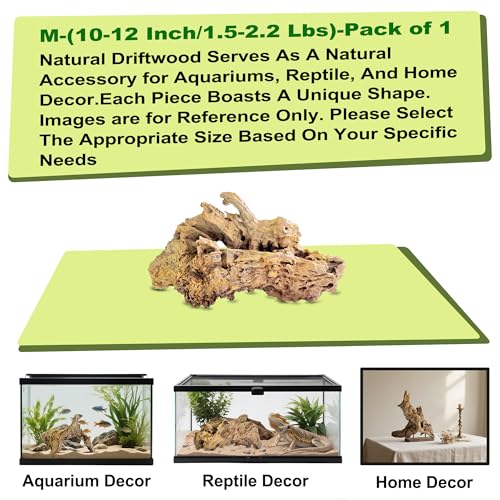 Natural Driftwood for Aquarium Decor,Reptile Habitat&Home DIY Decor,Naturally Unique Shapes Weathered Wood,Easy to Use (M-(10-12 Inch/1.5-2.2 Lbs)-Pack of 1) - color: M-(10-12 Inch/1.5-2.2 Lbs)-Pack of 1