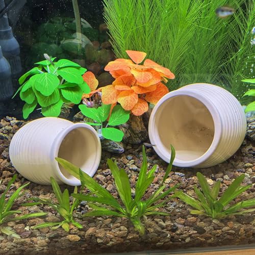 M2cbridge Pottery Ceramic Jar Natural Clay Vase for Cichlid Small Fish Shrimp to Play Hide Breed Habitat (Creamy Clay, 2pcs) - color: Creamy Clay, 2pcs