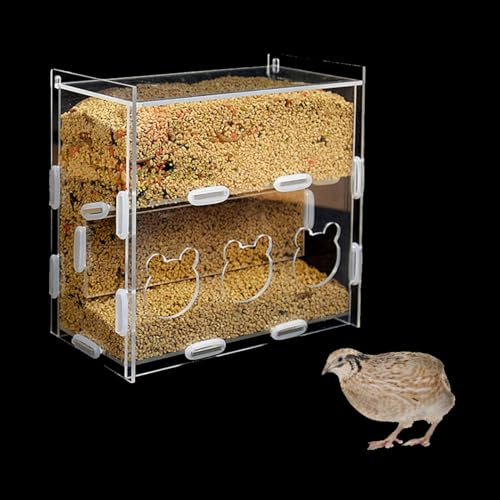 Acrylic Three Hole Two Layers Automatic Filling Transparent Feeder Box for Button Quail