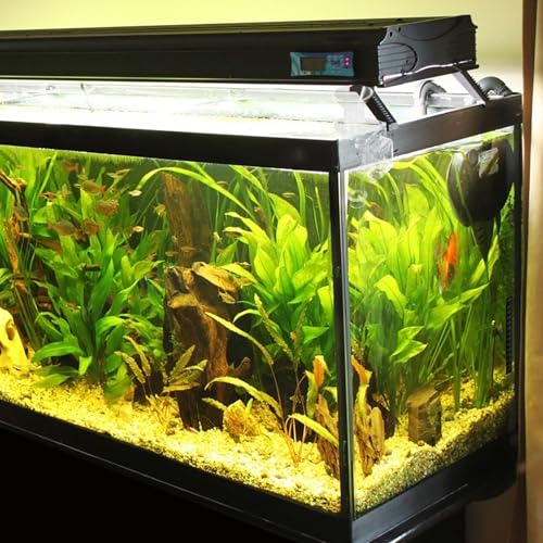 Shrimp Feeding Tube Aquarium Feeder Tube Acrylic 10cm Length Wall-Mounted Fish Tank Feeder for Aquarium Shrimp Supplies