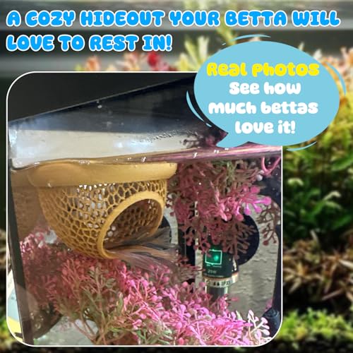 Floating Betta Hide & Shrimp Cave – 3D Printed Aquarium Hammock, Feeder & Rest Spot – Floating Betta Log & Cave Decor for Nano Tanks, Corydoras, Shrimp & Small Fish – Safe PLA, Patent Pending - color: Wood