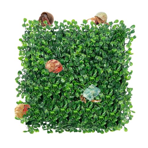Rainmae Hermit Crab Climbing Toys, Faux Grass Mat Fake Turf Hermit Crab Climbing Wall, Plastic Aquarium Plants Lawn Hermit Crab Supplies Climbing and Hide Toy for Gecko Reptile Lizard 10 x 10 Inch - color: 1 Pack