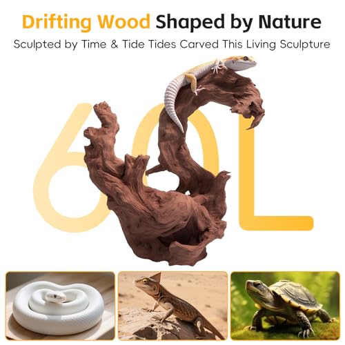 EFFIELER Natural Driftwood for Aquarium Decor – Unique Size Real Wood Branches for Fish Tank, Reptile Habitat, Terrarium, Hermit Crab, Shrimp Tank,Safe for Aquatic Pets (13-18 INCH, Mopani Driftwood) - size: 13-18 INCH