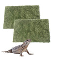 kathson 2pcs Reptile Carpet Terrarium Liner Tortoise Bedding Reptile Substrate Liner Mat Pet Cage Mats Supplies for Lizard Snake Bearded Dragon Gecko Chameleon Turtle Iguana (11.81 X 7.87 in) - color: 2PCS（M）：11.81 X 7.87 in