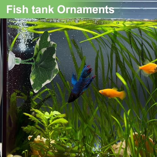 Betta Fish Leaf, Natural Habitat Simulation for Betta Spawnings Grounds, Betta Spawnings Leaves, Resting Bed, Double Leaves, White Deep Green
