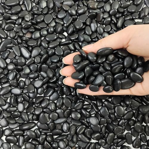 FANTIAN 10 lbs Small Black Pebbles for Indoor Plants. 3/8 inch Decorative Black River Rocks for Succulent Potted Plant, Vase, Landscaping and Outdoor Garden Rocks - size: 10 pounds, style: Black