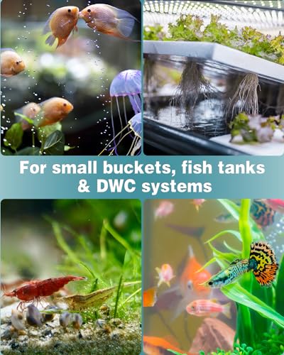 Pawfly Aquarium 1.2 Inch Air Stone Ball Bubble Diffuser Release Tool for Air Pumps Fish Tanks Small Buckets and Koi Ponds, 6 Pack - size: 1.2 Inch