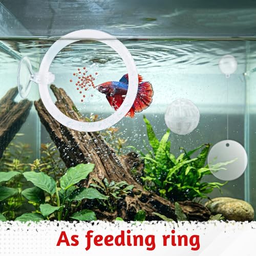 Betta Fish Tank Accessories Beta Enrichment Toys 2 Fish Exercise Training Rings with Suction Cups 2 Nitrifying Balls and 1 Floating Mirror with Ball for Aquarium Tank