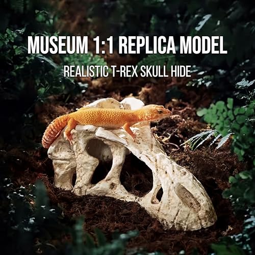 CLEEN T-Rex Skull Reptile Hide - Dinosaur Bone Terrarium Decor for Lizards Snakes Bearded Dragon, Realistic Fossil Cave Aquarium Tank Accessories (Small)