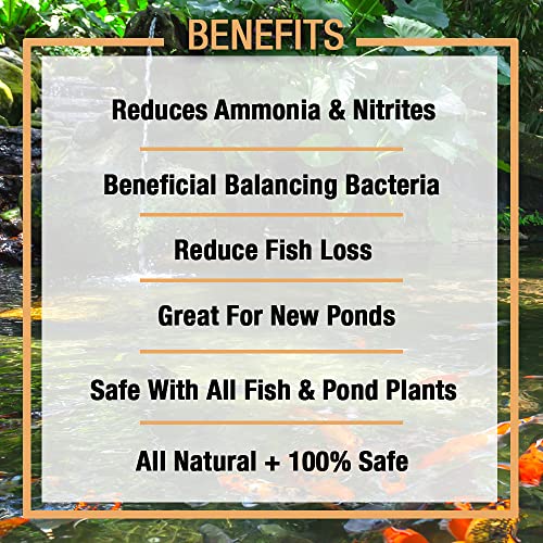 MICROBE-LIFT Nite-Out II Water Cleaner for Outdoor Ponds and Water Gardens, Rapid Ammonia and Nitrite Reduction (16 Ounces) - size: 16 Ounces