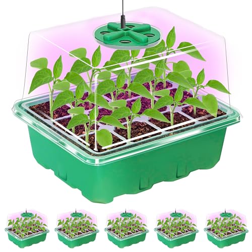 Bonviee 5 Packs Seed Starter Tray with Plant Light, Elevated Seedling Starter Trays Kits with Adjustable Humidity Domes and Clear Cell Tray, 12 Full Spectrum led lamp Beads for Plants Indoor-Green - color: Green, size: 5 Packs, with light