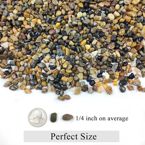FANTIAN 5 lbs Aquarium Gravel, Pea Gravel for Fish Tank,1/4 Inch Decorative River Rocks for Aquarium Succulent Vase Plant Soil Cover and Outdoor Landscaping - size: 1/4 Inch