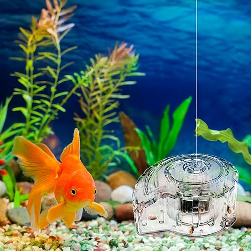 MiOYOOW Aquarium Planaria Catcher, Transparent Snail Trap Natural Capture Planaria Catch Box for Aquarium Fish Tank Planaria Tiny Snail