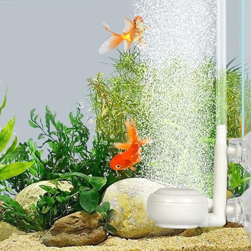 Aquarium Air Stone Disc, Tiny Fish Air Stone Ultra-High Dissolved Bubbler Airstone Bucket Diffuser Makes Super Tiny for Aquarium Fish and Small - color: Rose, size: round