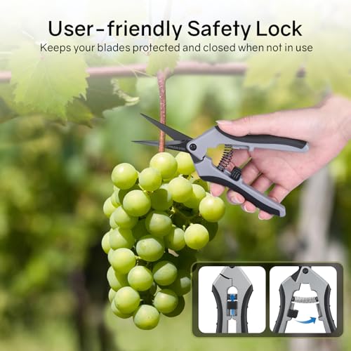6.5" Ultra Sharp Pruning Shears - Professional Garden Scissors with Curved Stainless Steel Blades, Ergonomic Handle, Rust Resistant, Safety Lock, Trimming Scissors for Plants in Grow Tents, 2-Pack - style: 6.5" Curved Blade*2