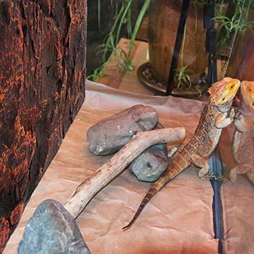 TEHAUX 3D Background Board for Reptile Tank Turtle Tank Background Plate Multi-Purpose Decor for Home Office