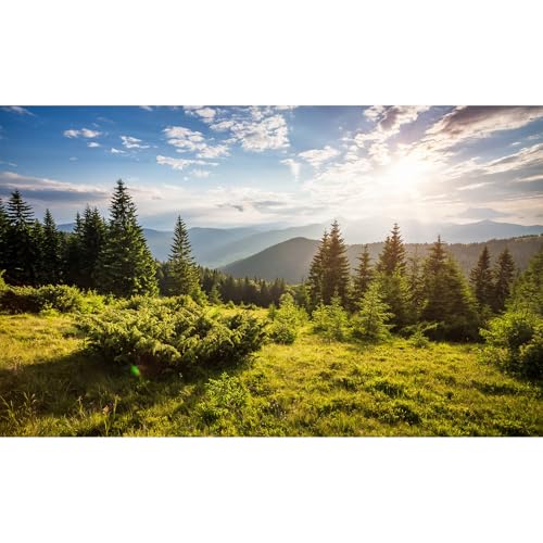 Mountain Valley Aquarium Background Idyllic Panorama Misty Mountains Fish Tank Background Seasonal Tranquil Spruce Forest Pine Trees Terrarium Backgrounds Green Meadow Reptile Tank Backgrounds 24x12in - color: Light Green, size: 24(W)x12(H)in