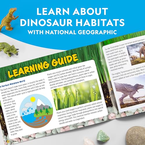 National Geographic Light Up Dinosaur Terrarium Kit for Kids – Build a Dino Habitat with Real Plants & Gemstones, Night Light, Science Kit, Dinosaur Toys for Kids Ages 6 7 8 9 (Amazon Exclusive) - style: Large Dino Habitat