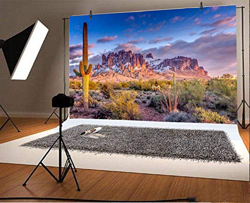Leyiyi 5x4ft Arazona Mountain Cactus Photography Background Desert Sunset Summit Western American Travel Hiking Desert Flora Cloud Desolate Cowboy Polyester Backdrop Terrarium Background - color: Desert1, size: 5x4ft-P