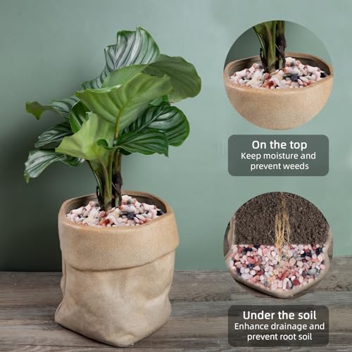 5lb Pea Silica Gravel Decorative Rocks, Polished Pebbles Ideal for Fish Tank, Vases, Succulents, Home Decor and Garden Landscaping, Countryside - color: Countryside, size: 5LB