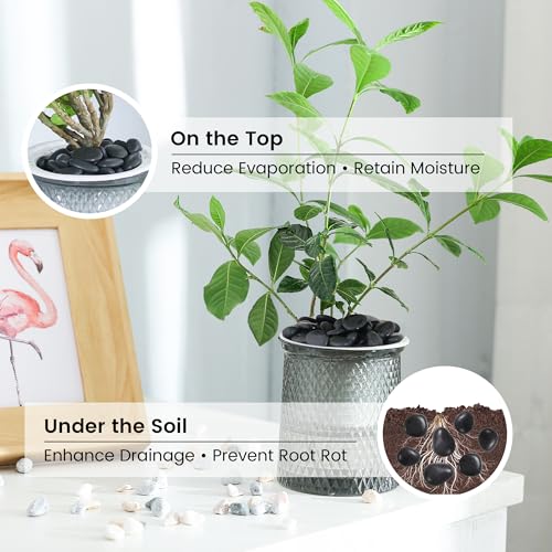 SIDONG 5 LB Black River Rocks, 0.3-0.5 Inches High Polished Pebbles for Indoor Plants, Aquarium Rocks Used in Fish Tank, Decorative Stones for Plants, Vases, Home Décor, Crafting, Garden Landscaping - color: Black, size: 5 Pounds
